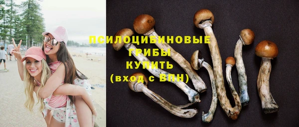 молекула духа Балахна
