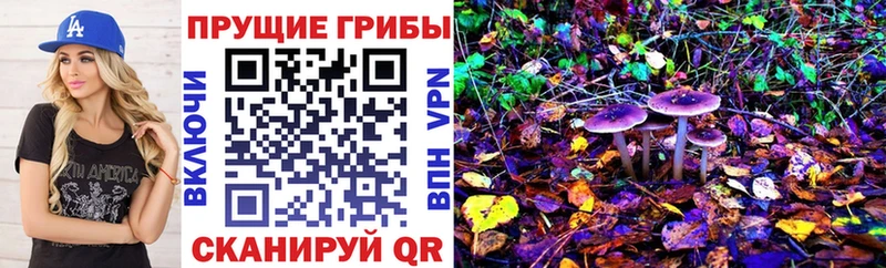 Псилоцибиновые грибы Cubensis  Малая Вишера 